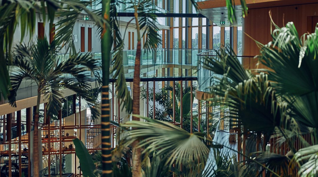 hotel-jakarta-amsterdam-westcord-hotels-hortus-botanicus-subtropische-tuin-4